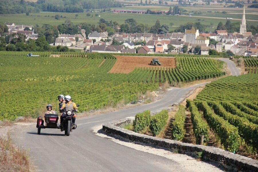 Meursault: Tour of the Vineyards on Motorbike with Sidecar - Is $64 a fair price for one hour?