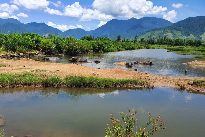Motorbike Tour From Hue to Danang or Hoi An via Hai Van Pass - What the easy riders add to the day