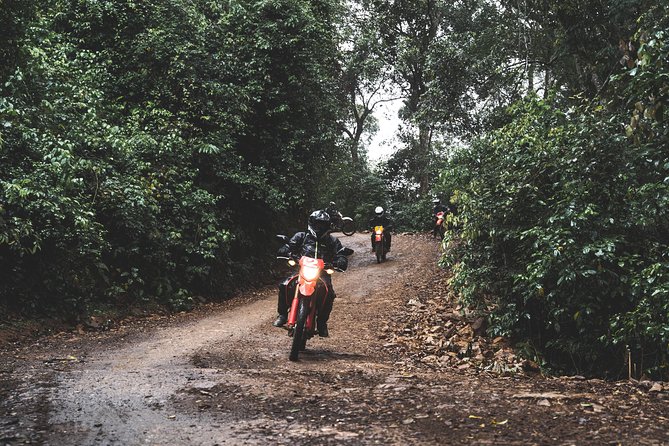 Motorcycle Safari - Wildlife from the saddle
