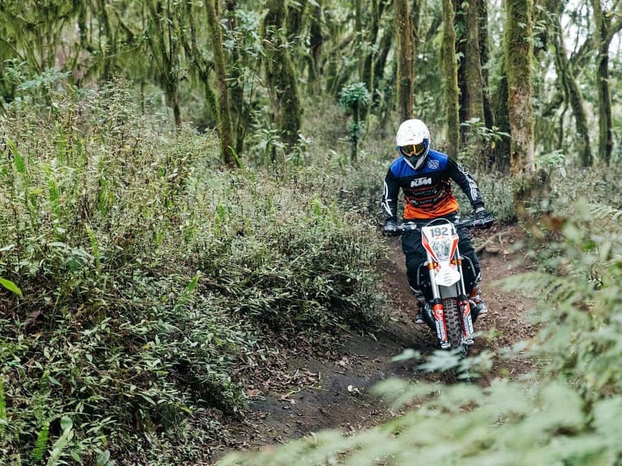 Mount Batur: Sunrise Dirt Bike Trek with Trained Riders - What $50 gets you, and what it does not