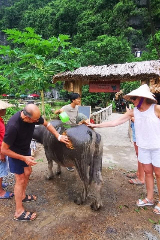 Ninh Binh : Countryside Tour by Motorcycle - Buffalow Riding - Key points to know before booking