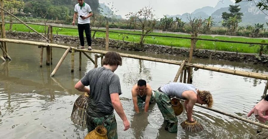 Ninh Binh Motorbike Tour - Rice fields, lotus ponds, and village roads