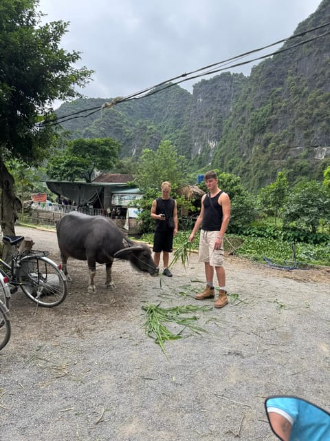 Ninh Binh Motorbike Tour - Bich Dong Pagoda and Vietnam’s historic side
