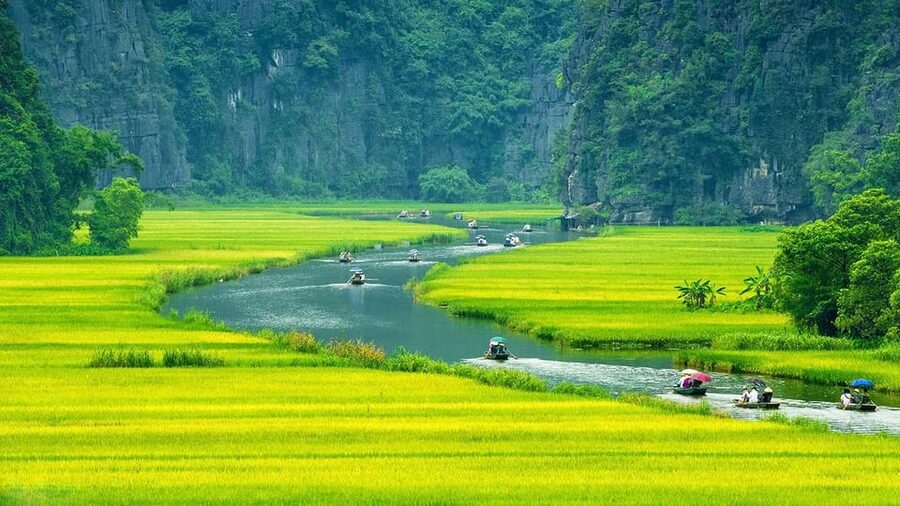 Ninh Binh Motorbike Tour - Making lunch, feeding ducks, and meeting the buffalo