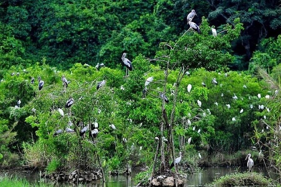 Ninh Binh Motorbike Tour - The Thung Nham boat trip and late-day birds