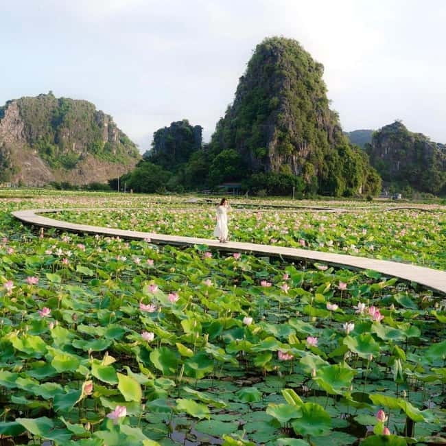 Ninh Binh Sunset Motorbike: Mua Cave, Coi Khe & Hoa Lu Town - Riding from Ninh Binh into the countryside