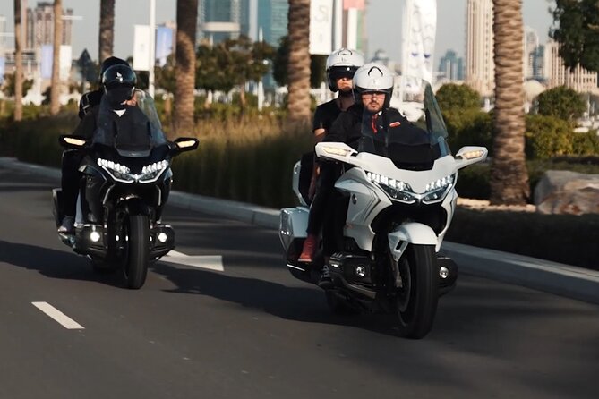 Premium Passenger Motorcycle Dubai City Private Tour - Dubai Eye and the view toward Palm Jumeirah