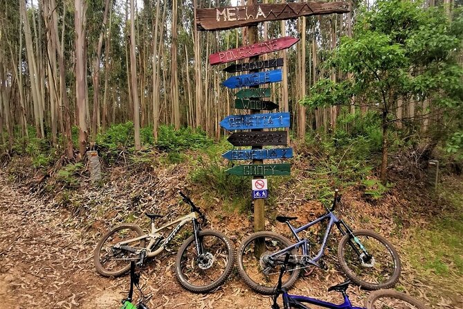 Private mountain bike tour in Lisbon/Sintra/Cascais - Starting in Colares with the right bike