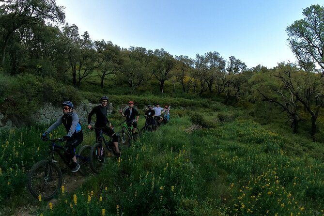 Private mountain bike tour in Lisbon/Sintra/Cascais - Choosing between hard trails and quieter paths