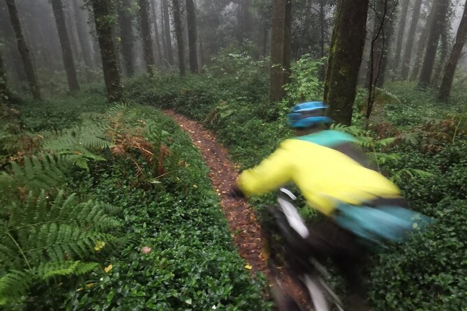 Private mountain bike tour in Lisbon/Sintra/Cascais - Equipment, safety, and comfort on the trail