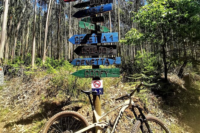 Private mountain bike tour in Lisbon/Sintra/Cascais - Is $168.58 a fair price?