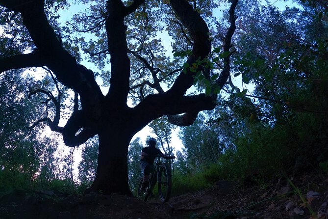 Private mountain bike tour in Lisbon/Sintra/Cascais - A warm-up that tests your handling