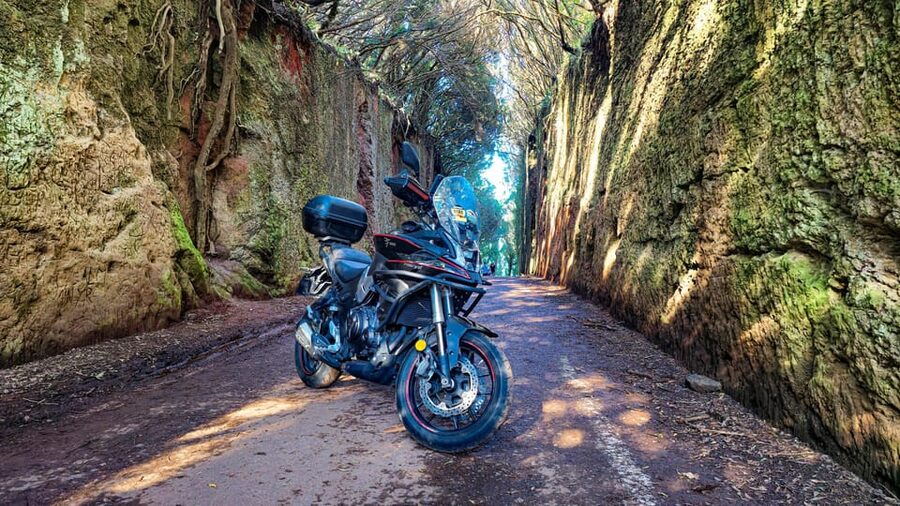 Puerto de la Cruz Motorbike tour through Teide National Park - Why riding makes Teide feel different