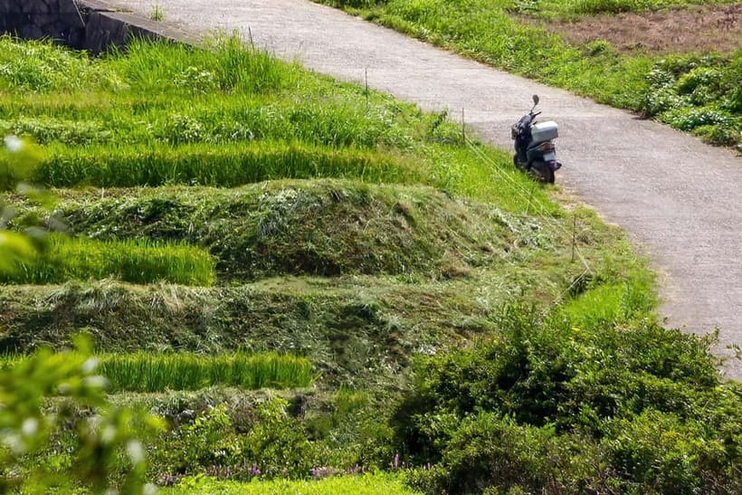 Rental Motorcycle Tour in Kyoto: Arashiyama & West Temple - Why a motorbike works well for western Kyoto