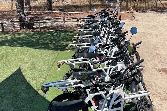 Ride the Day Away: Algarve: Affordable Premium 2×2 E-Bike Rentals - Why this rental works better than a fixed Algarve tour
