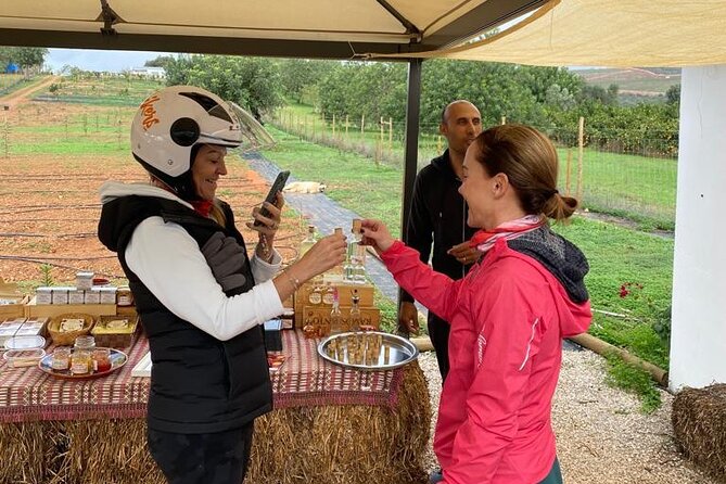 Ride & Wine: Scenic Quinta Da Tor Winery Electric 2x2 bike Tour - Starting near Almancil or Alfontes at 11:00
