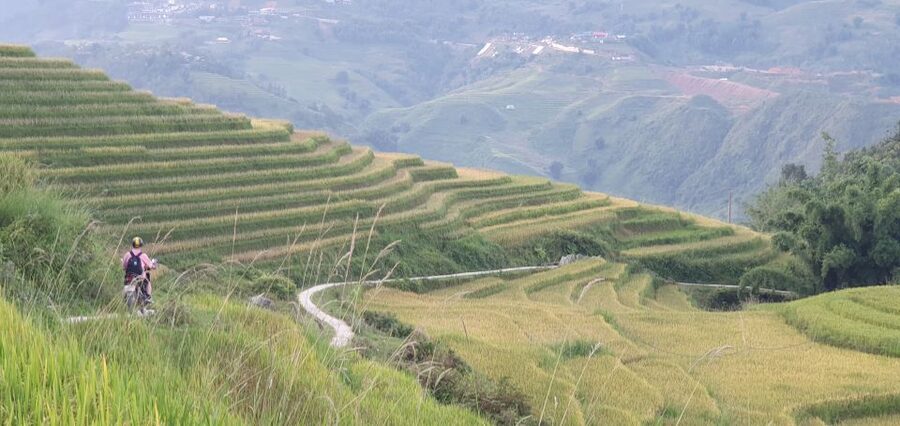 Sa Pa: Guided Motorbike Tour to Ethnic Villages with Lunch - Entering Muong Hoa Valley and its terraces