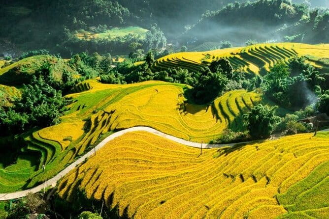 Sapa Adventure Motorbike Tour With Local Guide - Rice terraces around Sin Chai and the Muong Hoa Valley