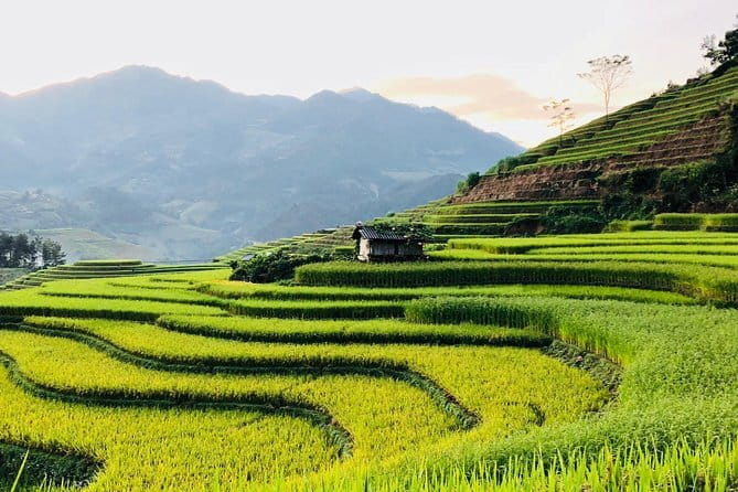 Sapa Adventure Motorbike Tour With Local Guide - The stream, cornfield, and slower side of the day
