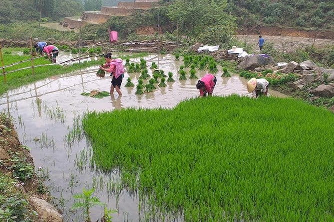Sapa Adventure Motorbike Tour With Local Guide - Who will enjoy this Sapa experience most