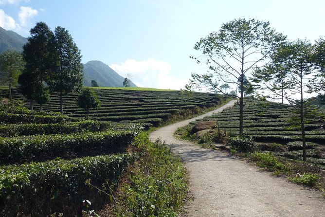 Sapa Full Day Motorbike Tour - Black Dao life around Than Uyen
