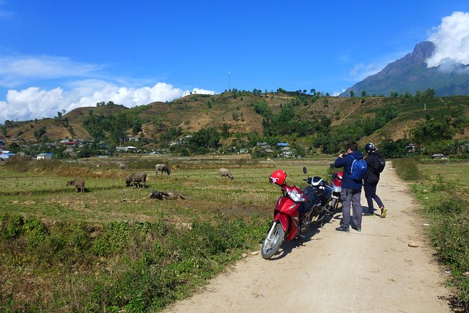 Sapa Full Day Motorbike Tour - Black Thai homes in Na Hum