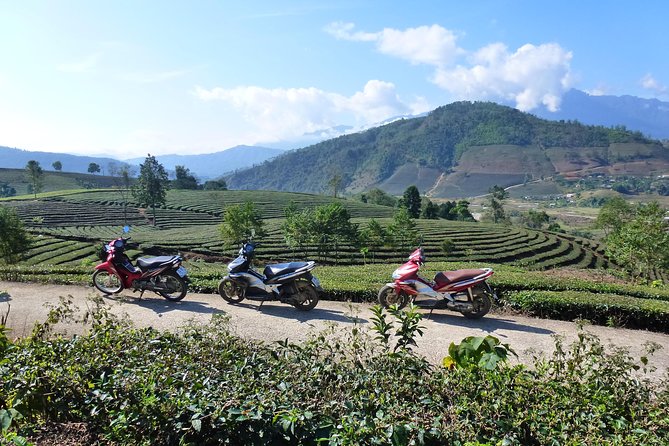 Sapa Full Day Motorbike Tour - Silver Waterfall: an easy first taste of the mountains