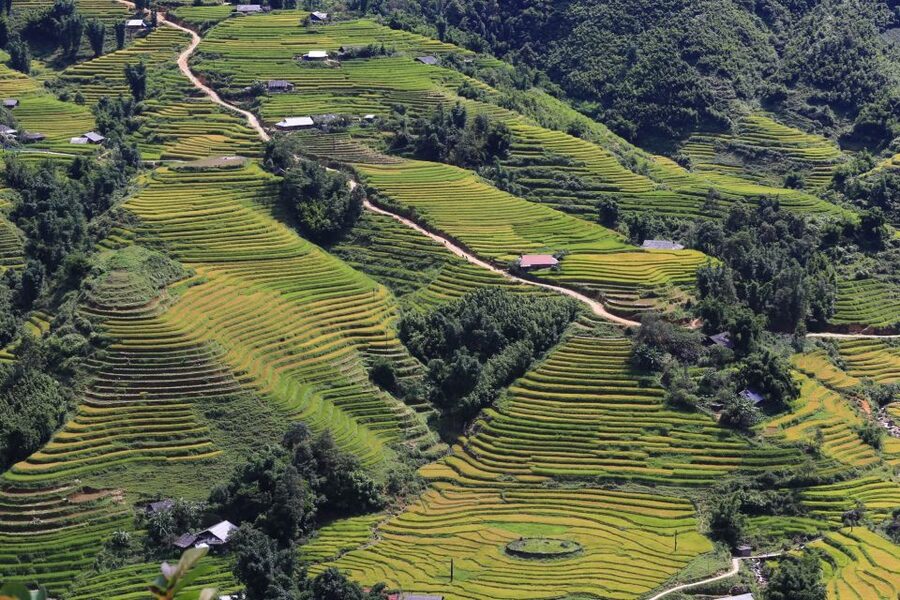 Sapa: Local Exploration on a Guided Motorbike Tour - What the $58 Price Really Buys You