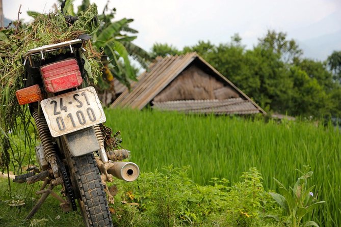 Sapa Motorbike Tour 1 Day| See All Of Rice Fields & Valleys in One Day - Why a motorbike is a smart way to see Sapa