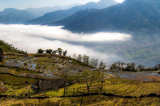 Sapa Motorbike Tour 1 Day| See All Of Rice Fields & Valleys in One Day - Riding comfort, safety, and practical limits