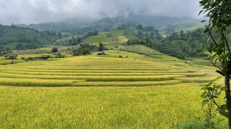 Sapa: Motorbike Tour 1 Day Visit Waterfalls & Local Villages - Ta Van, Hau Thao, and Su Pan on the return