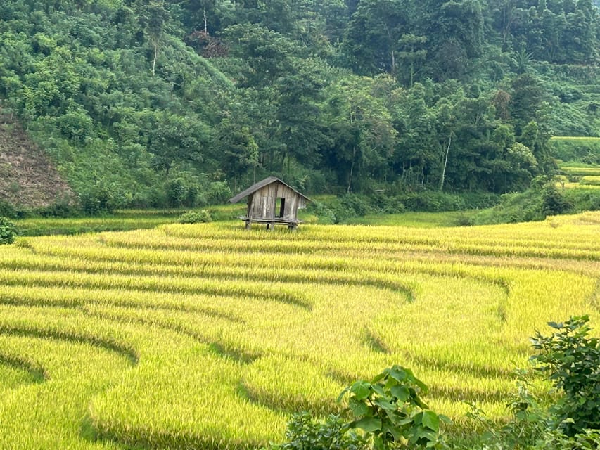 Sapa: Motorbike Tour 1 Day Visit Waterfalls & Local Villages - Lunch in Lao Chai beside the terraces