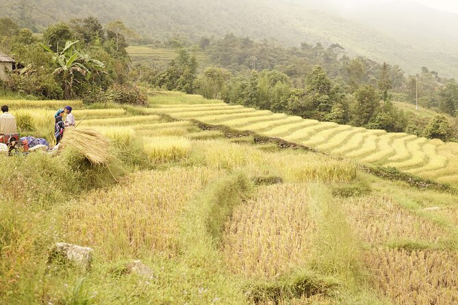 Sapa Motorbike Tour to Dragon Waterfall and Hidden Village - Ta Giang Phinh beneath Buddha’s Fingers Mountain