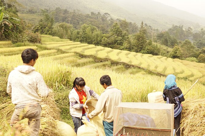 Sapa Motorbike Tour to Dragon Waterfall and Hidden Village - Sang Ma Sao and the highland road