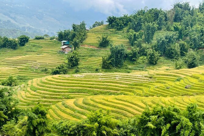 Sapa Motorbike Tour With Local Guide 1 Day - Waterfalls, Villages - Guides who shape the day