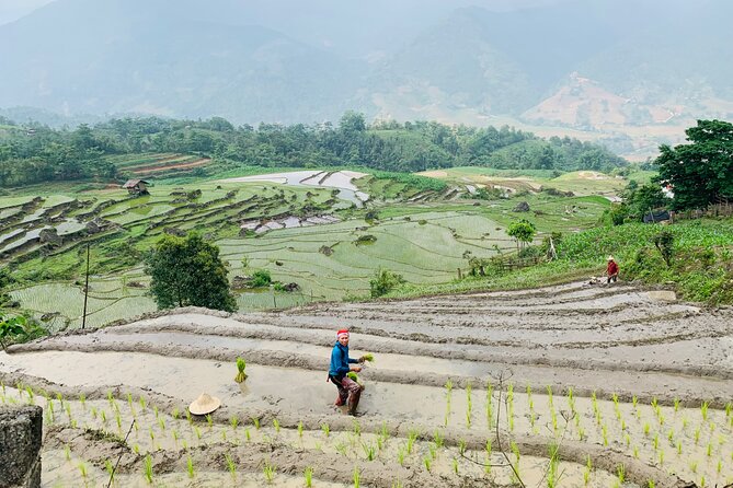 Sapa Motorbike Tour With Local Guide 1 Day - Waterfalls, Villages - Price, private format, and what you receive