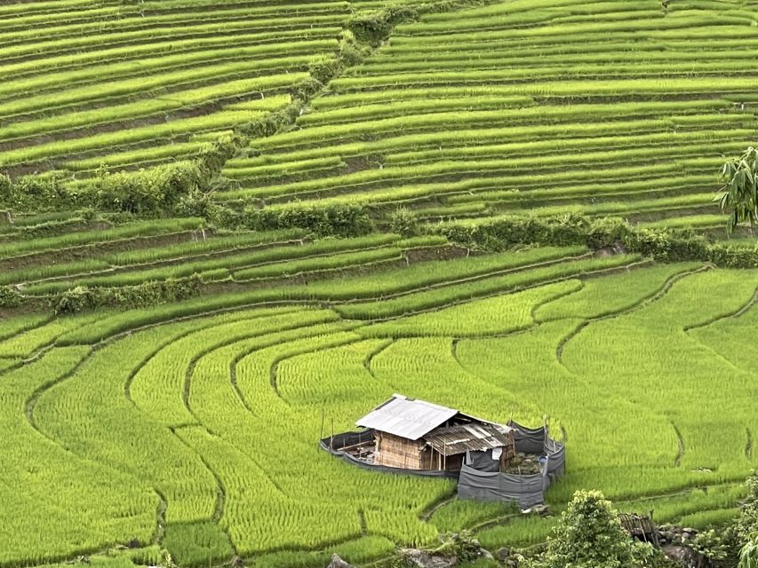 Sapa One Day Motorbike Tour - Y Linh Ho and Lao Chai, where the terraces begin