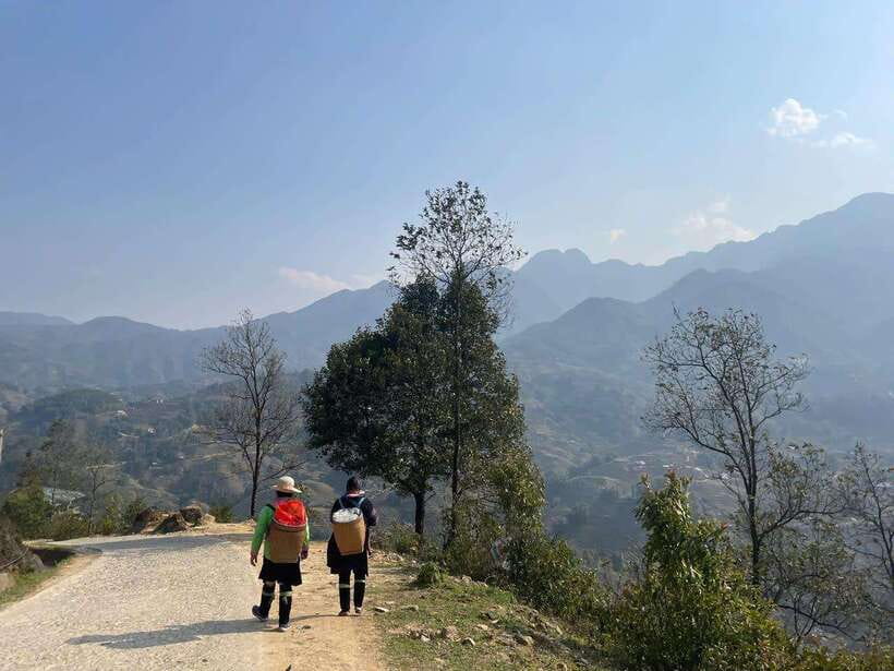 Sapa Silver Waterfall And O Quy Ho Pass Tour By Motorbike - O Long tea plantations and working farms