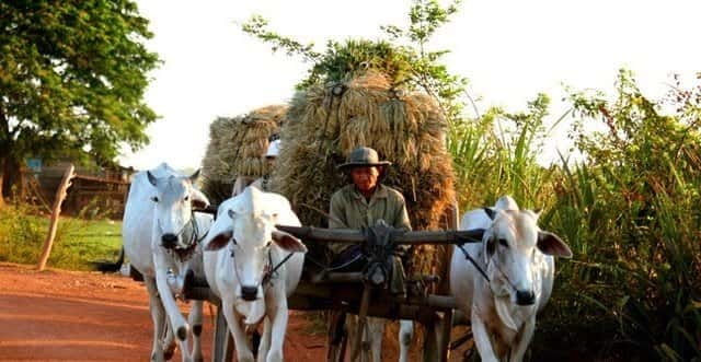 Siem Reap: 3-Hour Ancient Trails Motorbike Tour - Following dirt tracks through Siem Reap Province