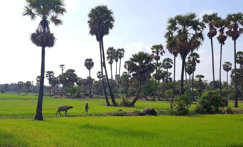 Siem Reap: 6-Hour Easy Rider Motorbike Tour - Chai Village monastery and Phnom Bok views