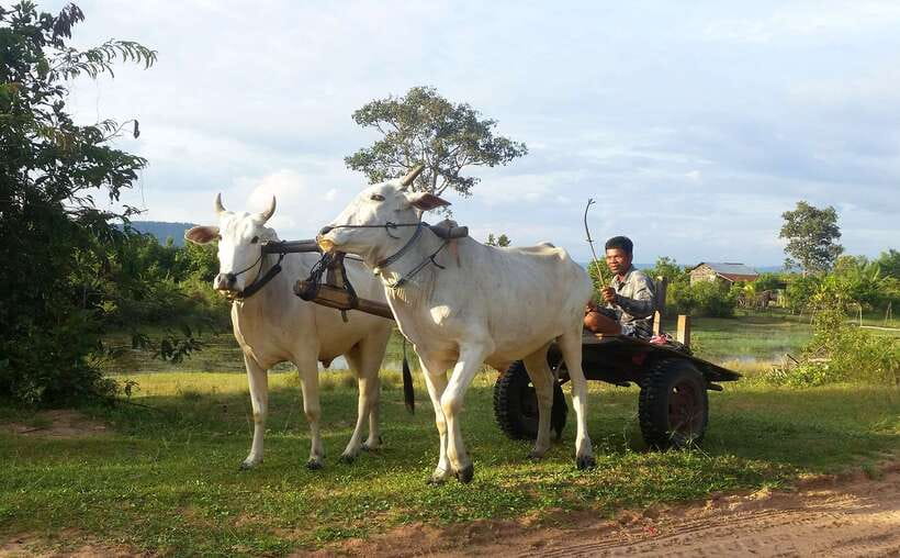 Siem Reap: 6-Hour Easy Rider Motorbike Tour - The return ride and the six-hour reality