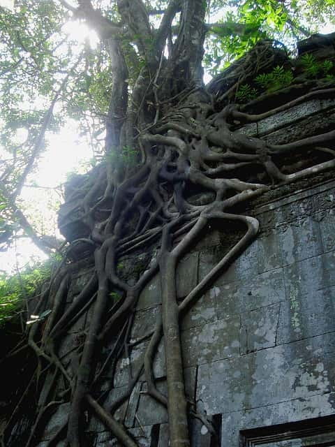 Siem Reap: 8-Hour Forgotten Treasures Motorbike Tour - Beng Mealea, Cambodia’s broken temple in the forest