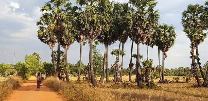 Siem Reap: 8-Hour Forgotten Treasures Motorbike Tour - Is $78 a fair price?