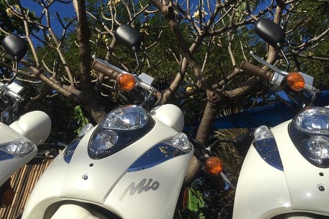 Single Passenger Moped/Scooter - 18+ NO Motorcycle License Needed - Booking details and cancellation flexibility
