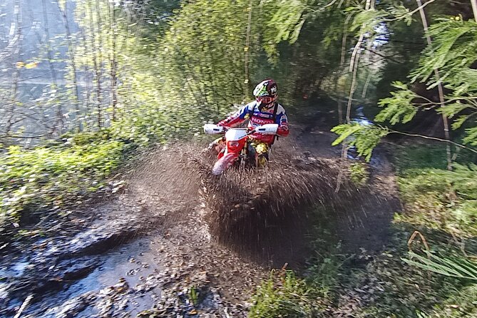 Small Group Enduro Tour in Marco de Canaveses. - Riding from Marco de Canaveses toward the Tâmega