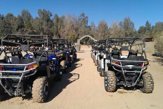 Super Moto Safari from Sharm E Sheikh with Excursions.VIP - Bedouin tea in a simple desert tent