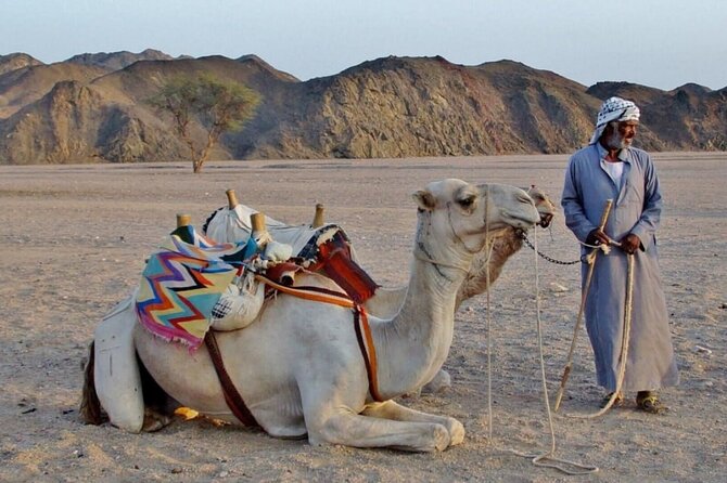 Super Moto Safari Sharm-el-Sheikh - Quad biking across the sandy desert