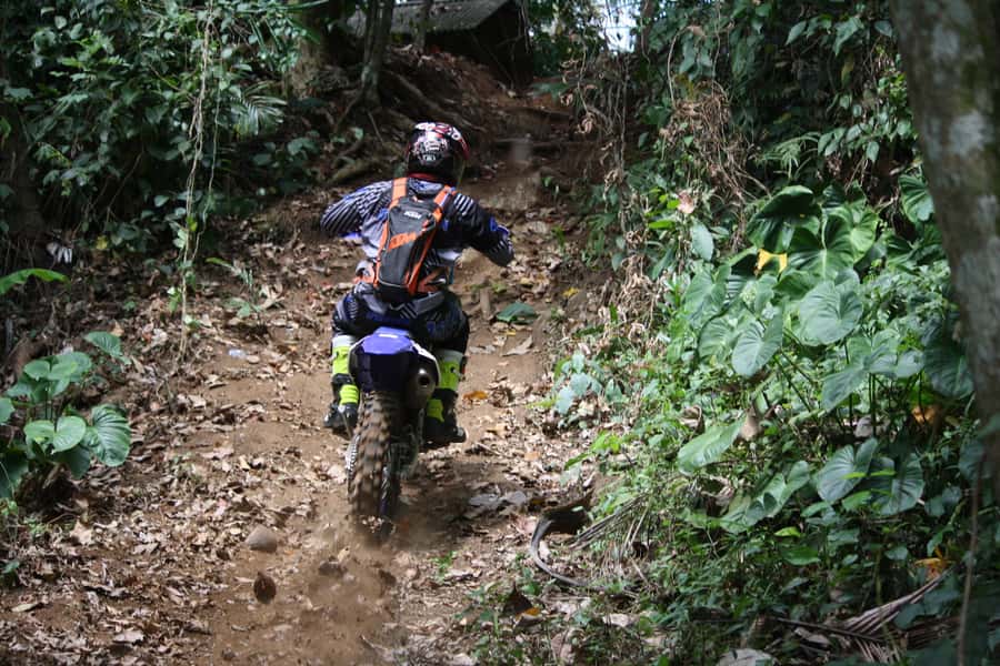 Tabanan: Jungle Trail Enduro Motorcross Adventure - The jungle trail and its natural obstacles