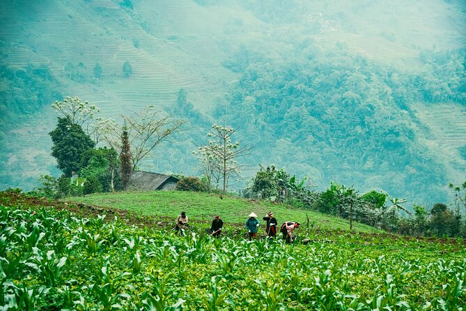 True North Ha Giang Loop Motorbike Tour 4 Days of Adventures - Day 1: From the briefing to Du Gia