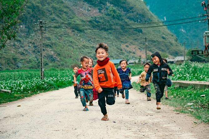 True North Ha Giang Loop Motorbike Tour 4 Days of Adventures - Homestays, food, and the local side of the route